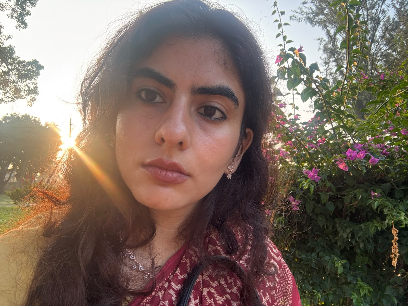 wa-image-2026-10-19.jpg