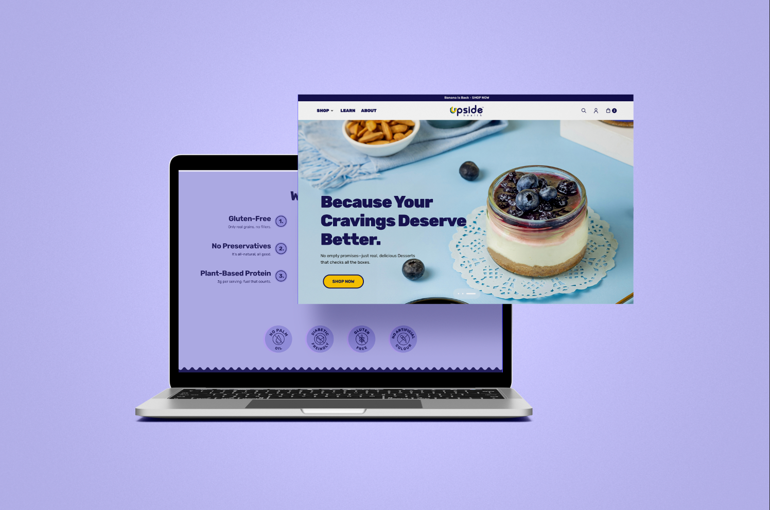 Upside_Website_1.png