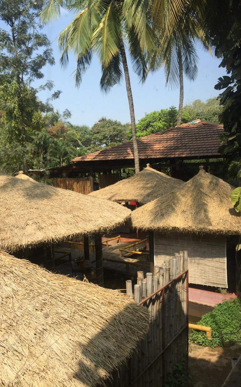 Holiday Village Resort — photo 6
