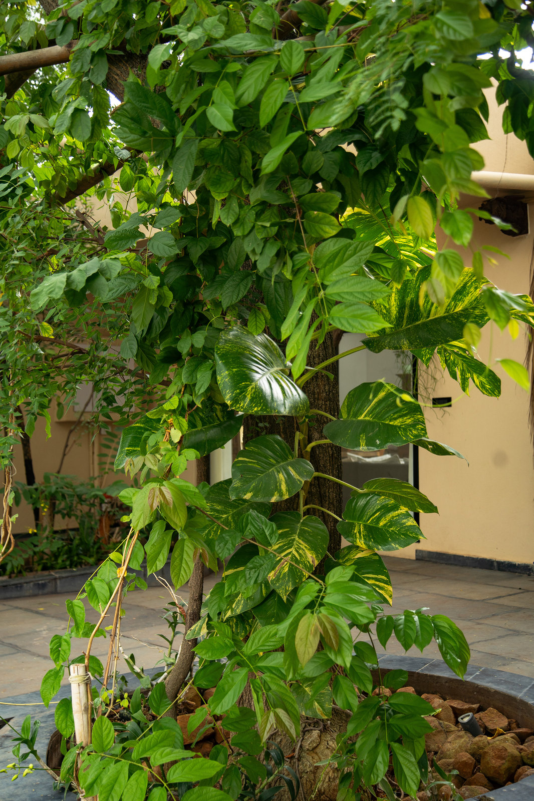 Earthy Courtyard Villa with Private Pool & Sauna, Yellodu — Courtyard & Exterior