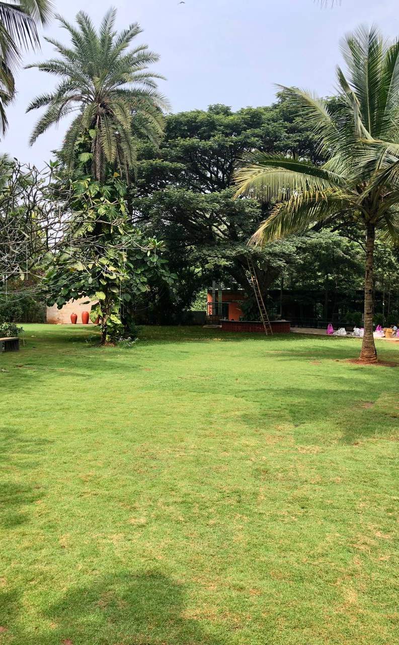 Holiday Village Resort — photo 2