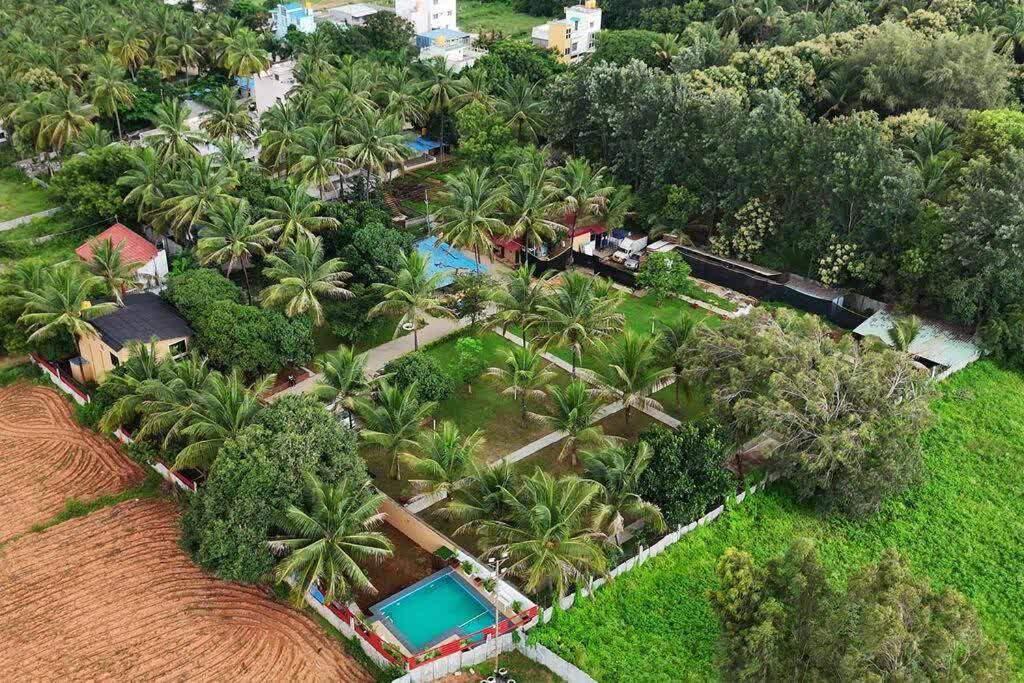 Contemporary 5BHK Pool Villa on 1-Acre Farm near Hennur 9 — photo 2